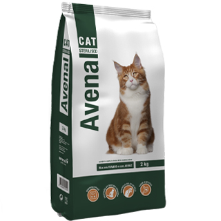 AVENAL CAT STERILIZED